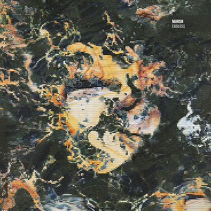 亚州一级av无码毛片久久精品
