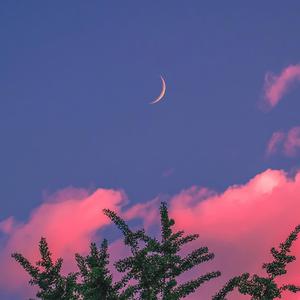 亚州一级av无码毛片久久精品
