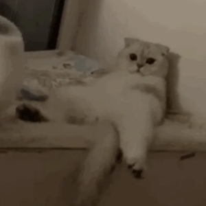 美女被打白嫩屁股女大学生
